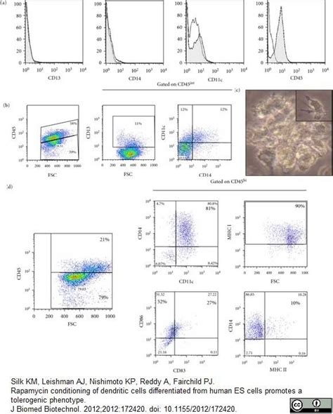 Anti Human Hla Dp Dq Dr Antibody Clone Wr18 Bio Rad