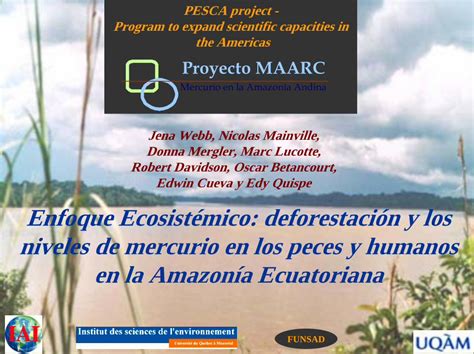 PDF Enfoque Ecosistémico deforestación y los niveles de las