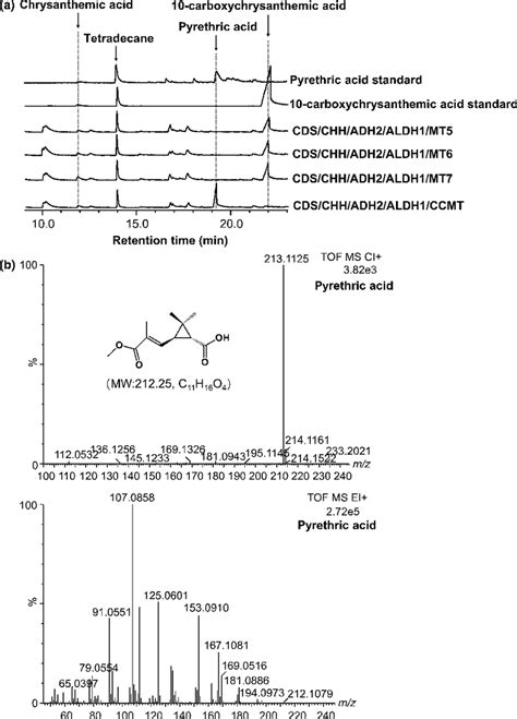 Gc Ms Analysis Of Methyl Tert Butyl Ether Mtbe Extracts From Download Scientific Diagram