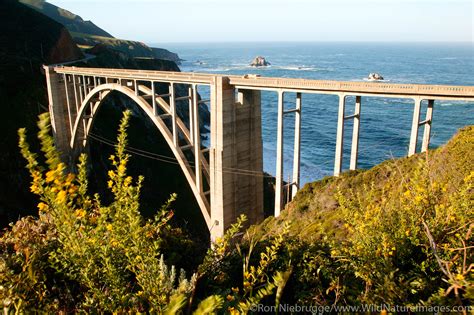 Bixby Bridge | Photos by Ron Niebrugge