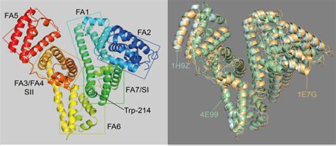 Figure S1 A Human Serum Albumin Hsa Structure Showing The Location