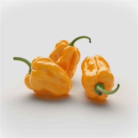 Habanero Pepper | Veazey Plant Farm