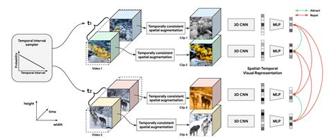 Intro To Contrastive Learning Pretext Task For Signal Representation