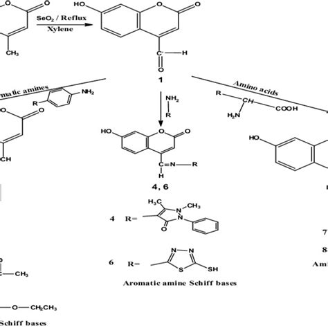 Scheme 1 Synthesis Of Title Coumarin Derivatives 2 8 Download Scientific Diagram