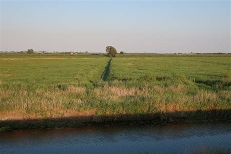 Ouse Washes In Summer Hugh Venables Geograph Britain And Ireland