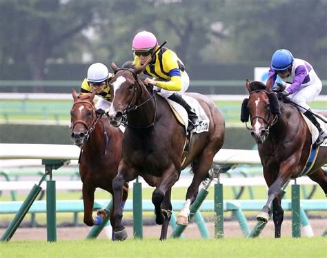 ＜中山5r＞新馬戦を制した松山騎乗のヒップホップソウル（中）（撮影・西川祐介） ― スポニチ Sponichi Annex ギャンブル