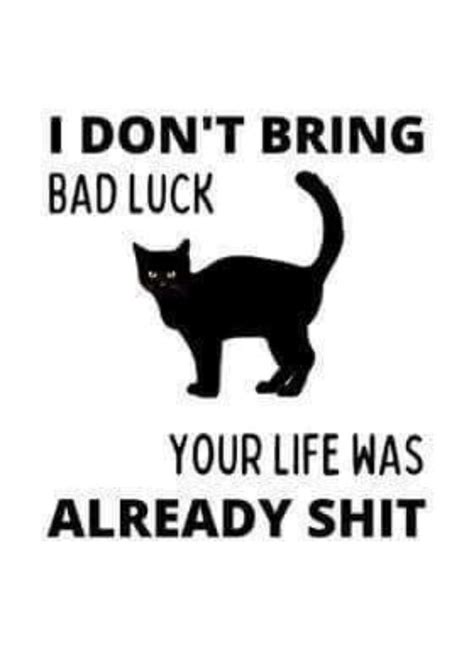funny friday   memes  ease  superstitious fears turn