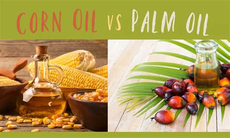 Corn Oil Vs Palm Oil Which Is Better The Coconut Mama