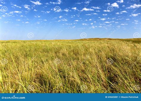 Great Kazakh steppe stock image. Image of cloud, morning - 69665881