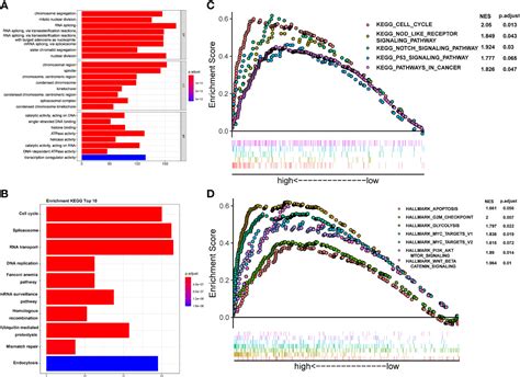 Frontiers Cstf Promotes Hepatocarcinogenesis And Hepatocellular