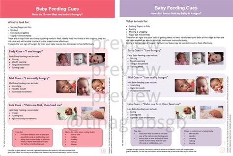 Baby Feeding Cues Poster Tina Gibbs Perinatal Education