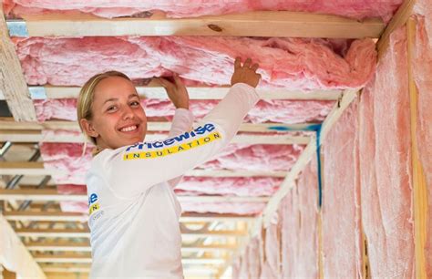 Best Ceiling Insulation For Soundproofing Shelly Lighting