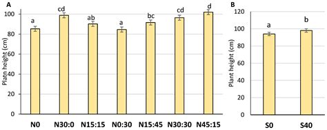 Agronomy Free Full Text The Effect Of Nitrogen And Sulphur