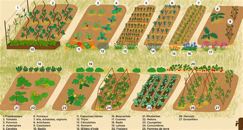 Comment Cultiver Un Potager Pour 4 Personnes Au Printemps