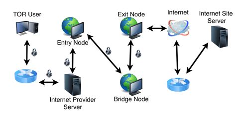 The Tor network operation | Download Scientific Diagram