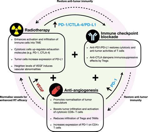 Frontiers Combinational Immunotherapy For Hepatocellular Carcinoma