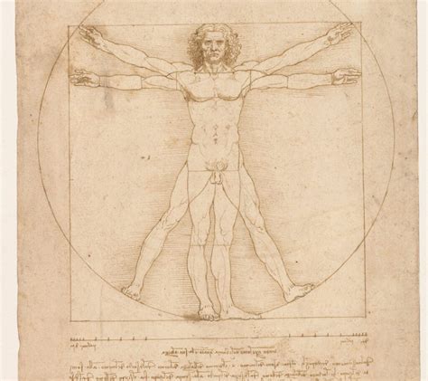 Leonardo Da Vinci Un Curioso Genio Poliedrico