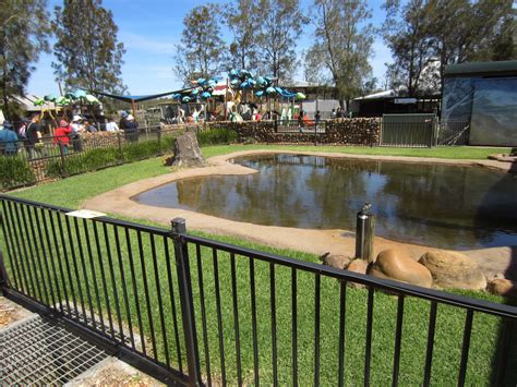 Alligator enclosure - ZooChat