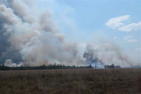 Incendios en Corrientes sequía cambio climático y desidia política