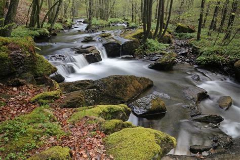 Une Animation Du Parc Naturel Régional Des Ardennes Lycée Notre Dame