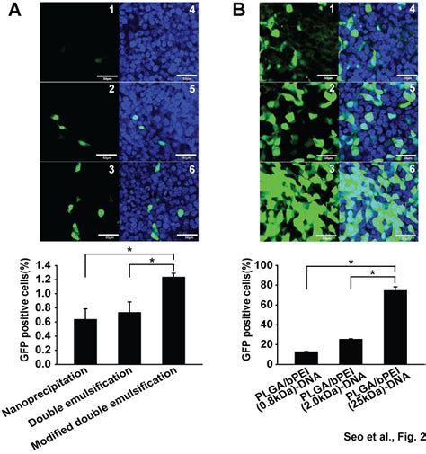 Gfp Positive Cells Were Determined By Flow Cytometry Analysis