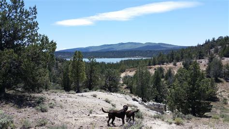 Wes Travels To California Lakes West Valley Reservoir Lassen County