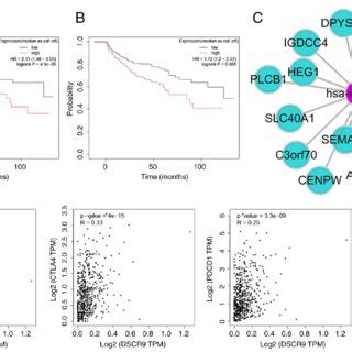 DSCR9 Could Be A Novel Prognostic Marker Kaplan Meier Curves Of PFS