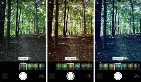 How To Use Your iPhone 8 Camera To Shoot Stunning Photos