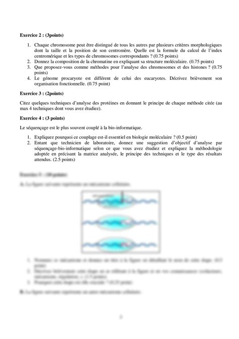 SOLUTION Examen Biologie Mol Culaire Studypool