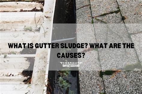 What Is Gutter Sludge What Are The Causes Americanguttermasters