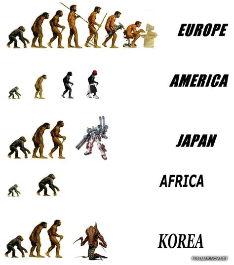 Image Result For Human Evolution Very Funny Pictures