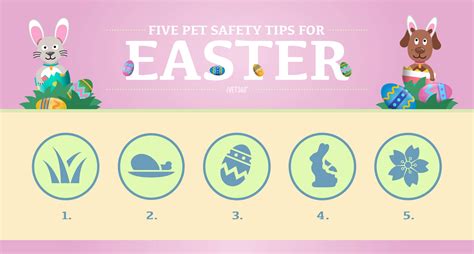 Pet Safety Tips For Easter Infographic Pet Safety Pets Infographic