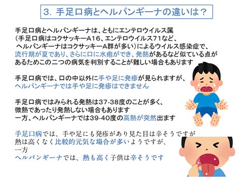 手足口病とヘルパンギーナについて｜東京都世田谷区の耳鼻咽喉科 外科 内科「はたのクリニック」