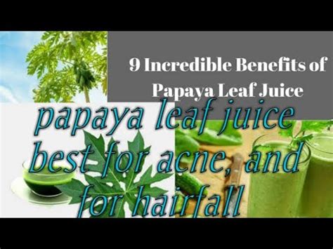 9 Incredible Health Benefits Of Papaya Leaf Juice You Must Know YouTube