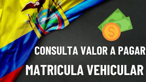 Consulta Valor a Pagar Matrícula Vehicular 2024 en Ecuador Una Guía