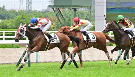 東スポ競馬 On Twitter 阪神5r新馬戦 チークタイム 和田竜二 騎手 おめでとうございます🎉