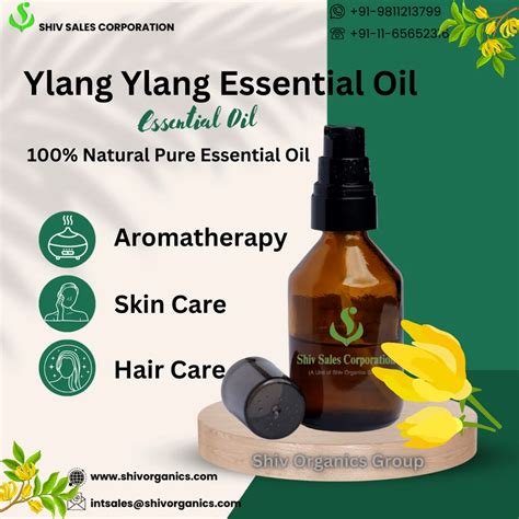 Ylang Ylang Essential Oil For Skin Care 100 Pure At Rs 1800kg In