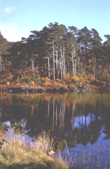 Loch Lundie © Anne Burgess Geograph Britain And Ireland