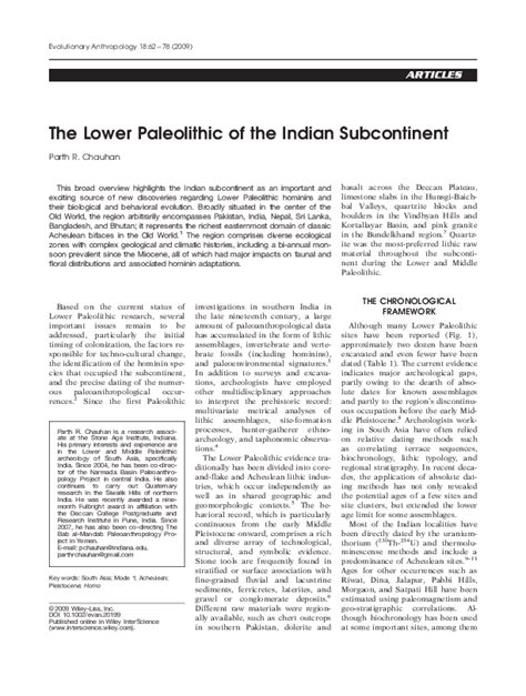 (PDF) The lower Paleolithic of the Indian subcontinent