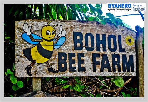 Byahero: Bohol Bee Farm