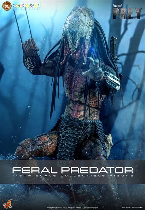 Hot Toys TMS Prey Th Scale Feral Predator Collectible Figure Ship Q Q