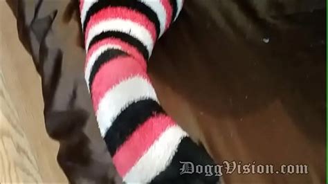 MATURE Hairy Interracial Search XVIDEOS