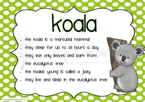 Australian Animal Fact Sheets Printable - Ted Luton's Printable ...