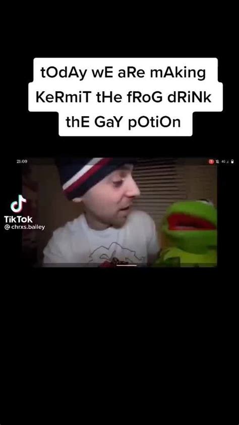 Today We Are Making Kermit The Frog Drink The Gay Potion Tiktok Ifunny