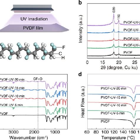 A Schematic Illustration Of The Pvdf Film Under Uv Irradiation And Download Scientific