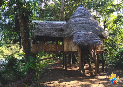 Exclusive Volunteer Work Ecuador Amazon Tribe #1 Rainforest