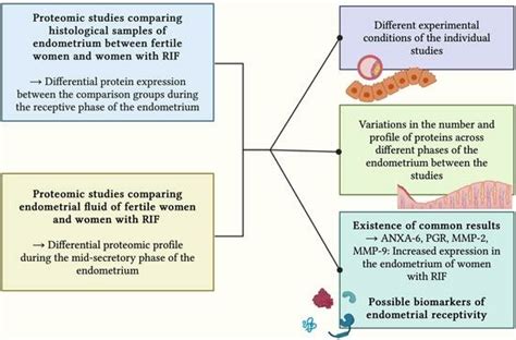 Jcm Free Full Text The Contribution Of Proteomics In Understanding