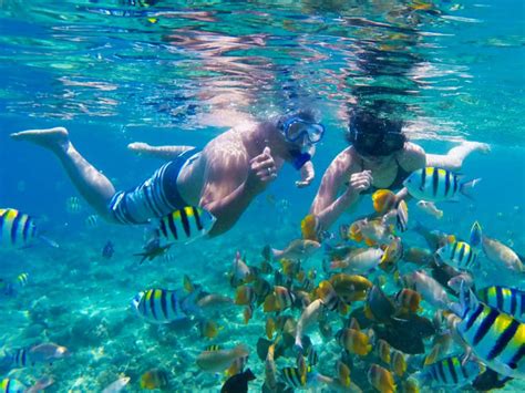 Lombok Pink Beach Island Hopping Snorkeling With Japanese Guide