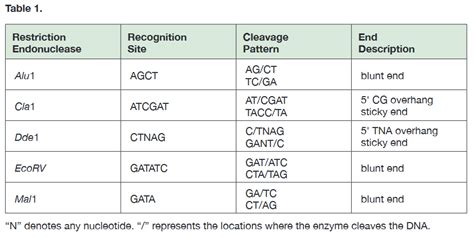 Solved Table 1 Restriction Endonuclease Recognition Site