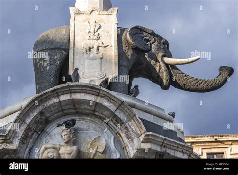 Th Century Elephant Fountain Fontana Dell Elefante Also Called U